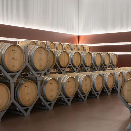 Valbusenda Bodega & Hotel Toro