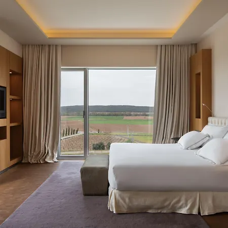 Hotel Valbusenda Bodega&spa Toro