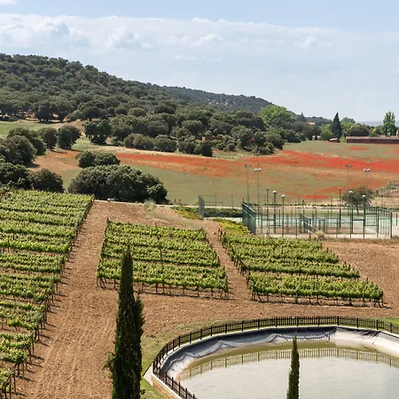 Valbusenda Bodega &