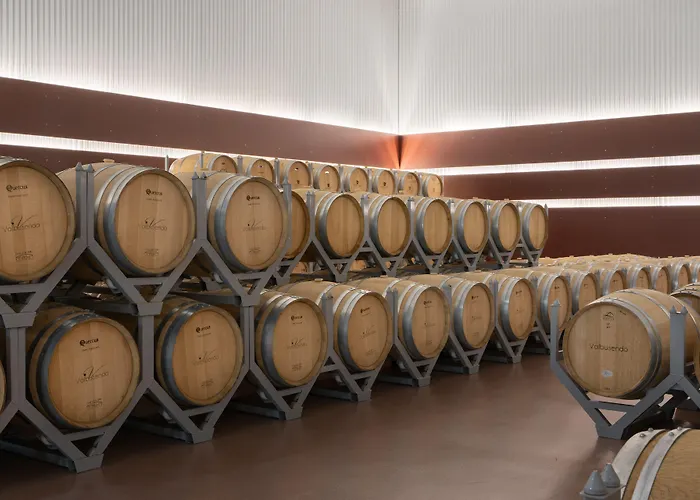 Valbusenda Bodega & Ξενοδοχείο Toro